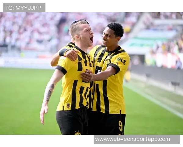 罗伊斯力挺布兰特留队多特未来合作前景可期